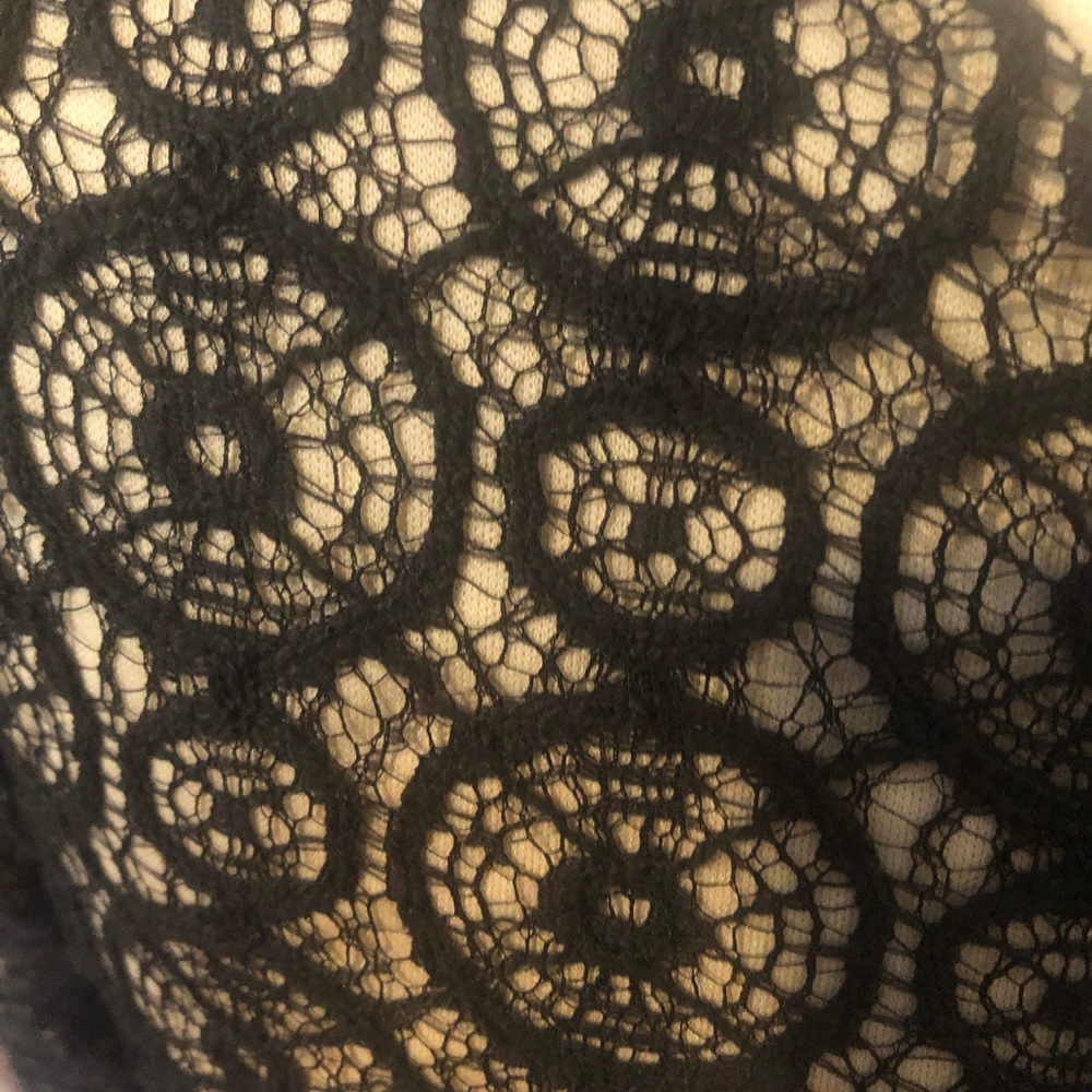 Arden B Black Lace Fit-and-Flare Dress with Cream Underlay - Picture 5 of 8